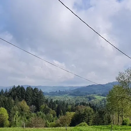 Spacieux Et Calme Avec Jardin, Animaux Acceptes - Fr-1-489-568 Ferienhaus Laprugne